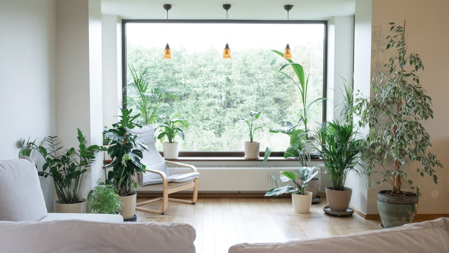 HOME DECOR &amp; PLANT THERAPY